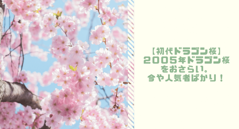 初代ドラゴン桜 ２００５年ドラゴン桜をおさらい 今や人気者ばかり たいらのたんぼブログ